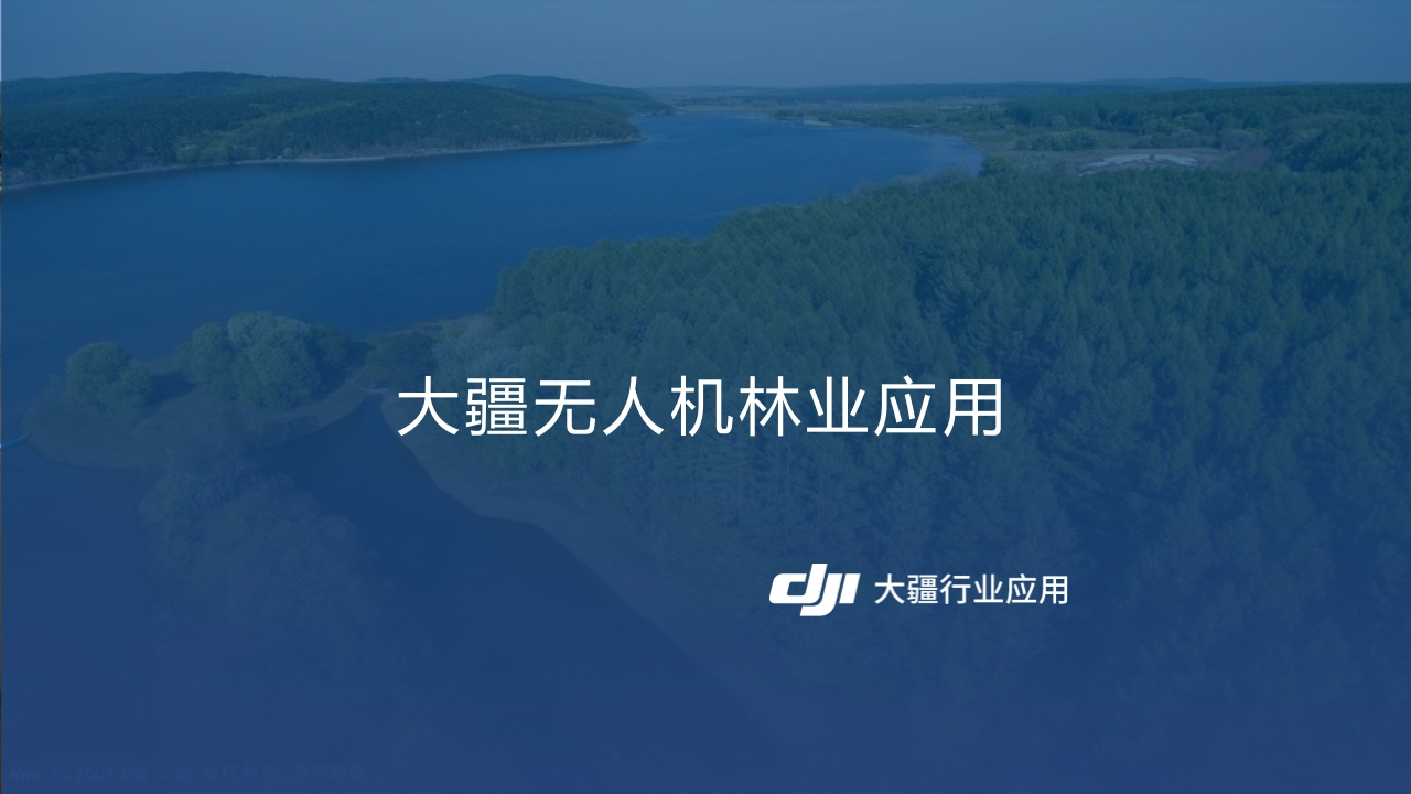 大疆无人机林业应用大疆2025[32页PPT]